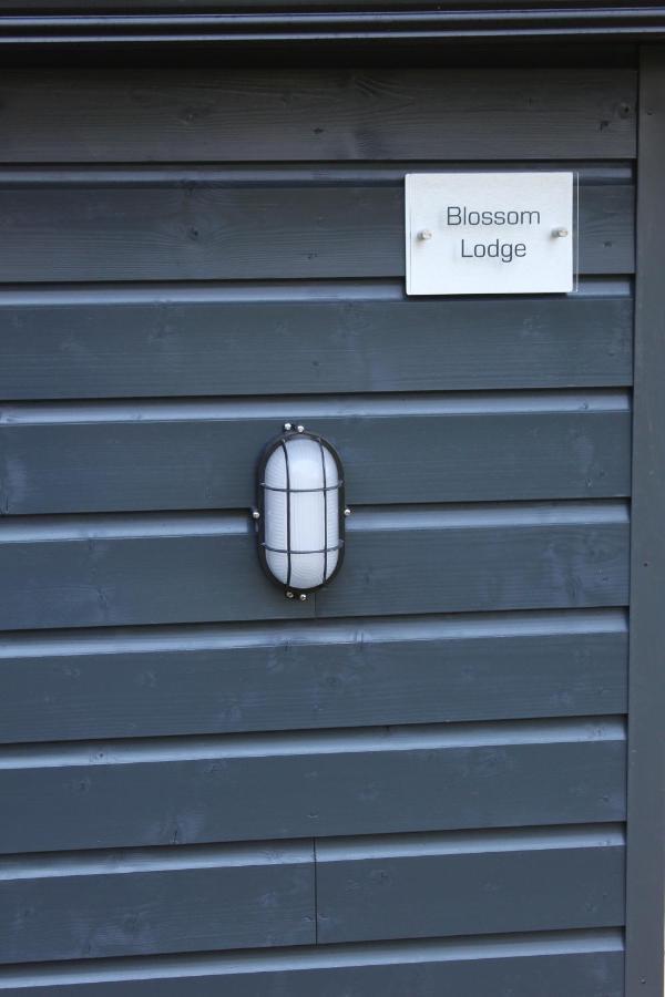 The Loft, Apple Lodge & Blossom Lodge Macroom Exterior photo